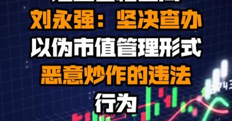 证监会稽查局刘永强：坚决查办以伪市值管理形式恶意炒作的违法行为
