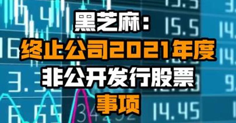 黑芝麻：终止公司2021年度非公开发行股票事项