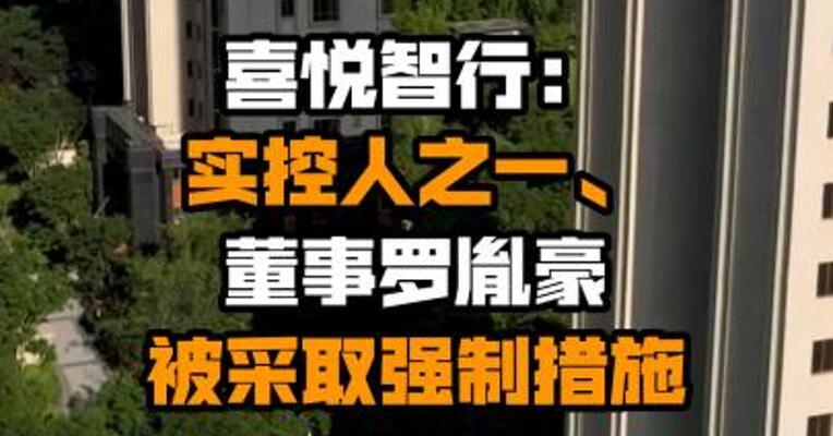 喜悦智行：实控人之一、董事罗胤豪被采取强制措施