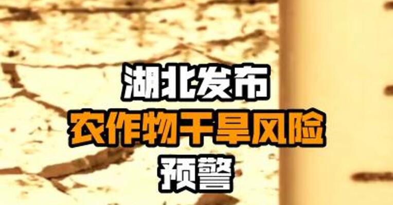 湖北发布农作物干旱风险预警