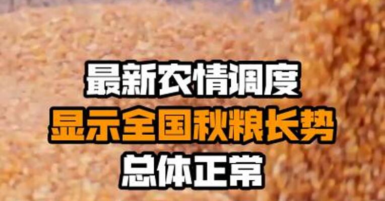 最新农情调度显示全国秋粮长势总体正常