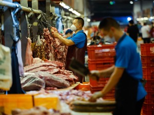成都蒲江县：逐步有序恢复生产生活秩序