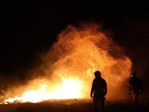 突发！蒙古国发生草原火灾，已蔓延至我国边境呼伦贝尔，最新情况→