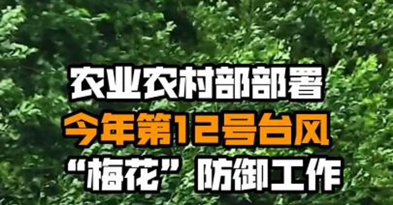 农业农村部部署今年第12号台风“梅花”防御工作