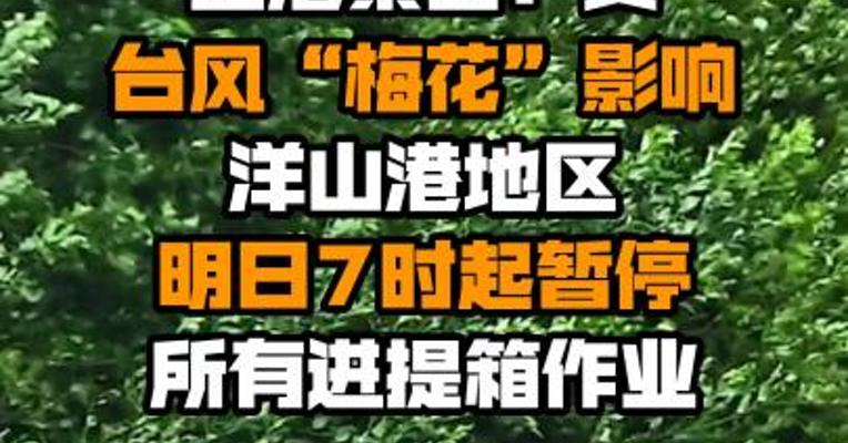 上港集团：受台风“梅花”影响 洋山港地区明日7时起暂停所有进提箱作业