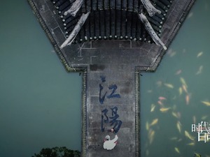 《从江阳到未来》 