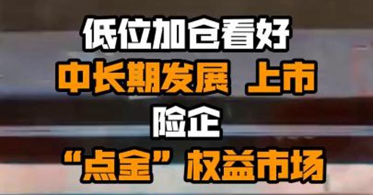 低位加仓看好中长期发展 上市险企“点金”权益市场