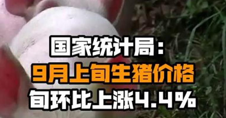 国家统计局：9月上旬生猪价格旬环比上涨4.4%