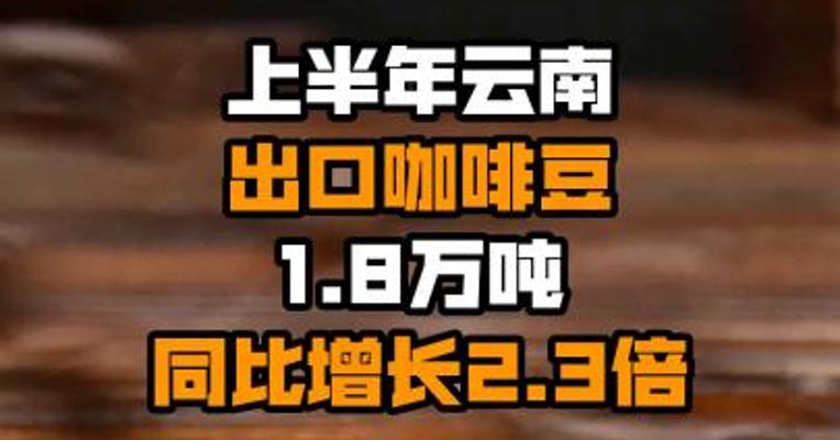 上半年云南出口咖啡豆1.8万吨 同比增长2.3倍