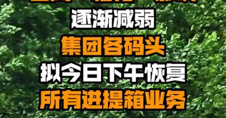 上港集团：台风“梅花”影响逐渐减弱 集团各码头拟今日下午恢复所有进提箱业务