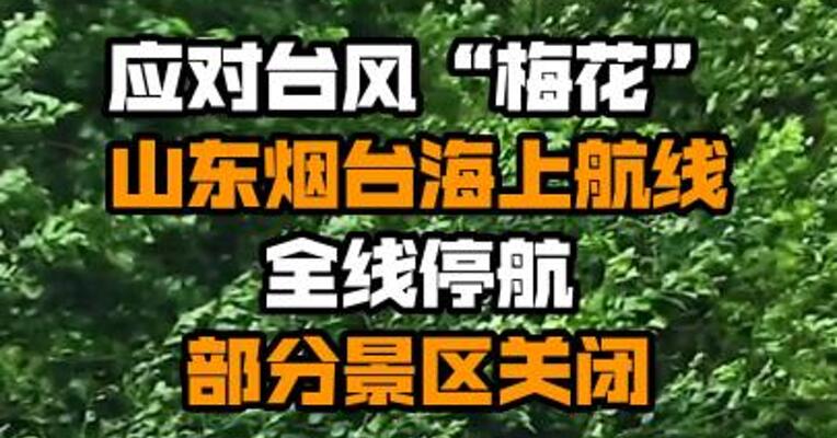 应对台风“梅花”：山东烟台海上航线全线停航 部分景区关闭