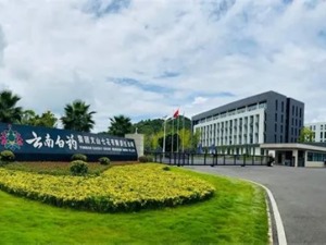 云南白药启动数字三七产业平台2.0 驱动传统重点品种价值重构