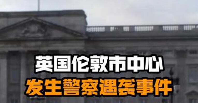英国伦敦市中心发生警察遇袭事件