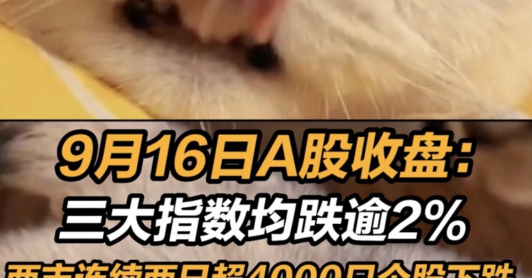 9月16日A股收盘：三大指数均跌逾2%  两市超4000只个股下跌 