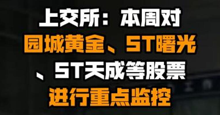 上交所：本周对园城黄金、ST曙光、ST天成等股票进行重点监控