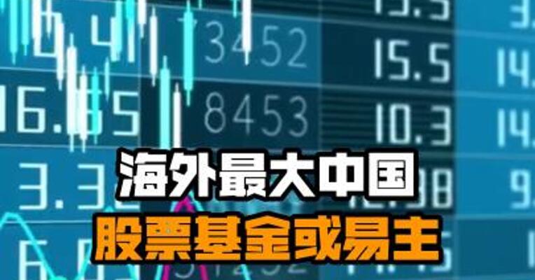 海外最大中国股票基金或易主