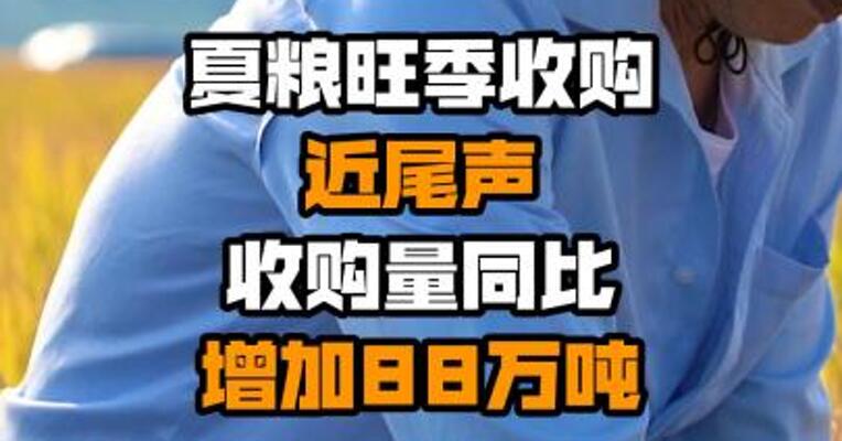 夏粮旺季收购近尾声 收购量同比增加88万吨