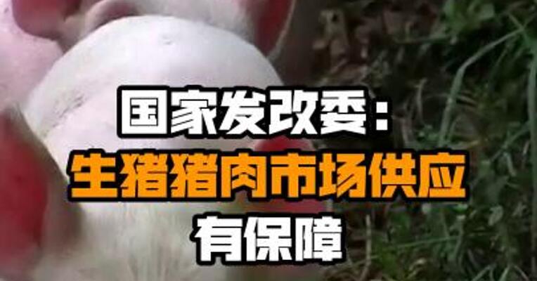 国家发改委：生猪猪肉市场供应有保障
