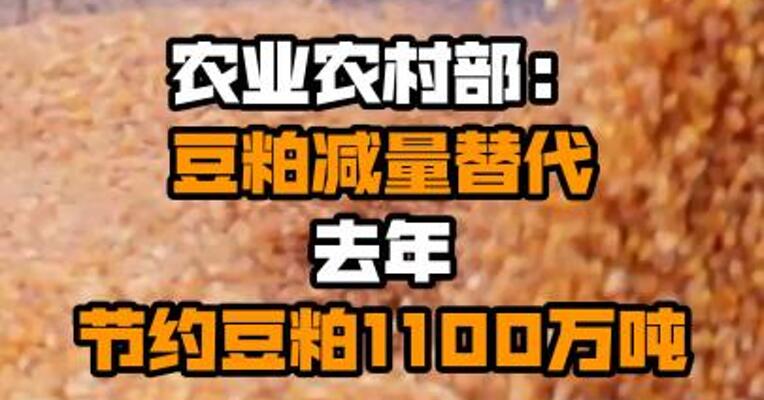 农业农村部：豆粕减量替代 去年节约豆粕1100万吨