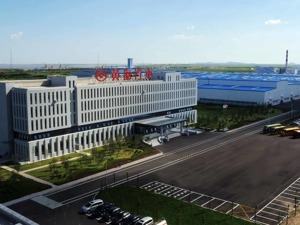 已证实！该车企实控人被批捕！“失联”期间股价收获19个涨停板！上交所多次发函问询，咋回事？