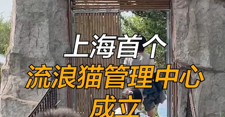 上海首个流浪猫管理中心成立