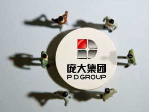 被传起诉重整方 庞庆华称“不便回复” 昔日“4S店之王”三年重整仍未迎“终局”