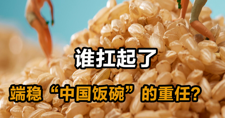 谁扛起了端稳“中国饭碗”的重任？？