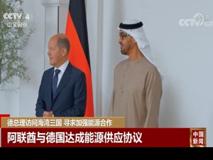 “开放北溪-2项目”！德国爆发游行，要求结束对俄能源制裁；德国总理访问海湾油气大国，能缓解欧洲“气荒”吗？