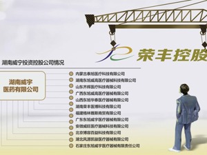 花近8亿“豪购”荣丰控股资本大戏落定？