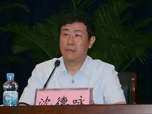 沈德咏，被逮捕！