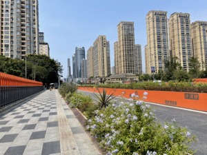 重大场景重构丨成都市成华区杉板桥路改造工程 以街道一体化带动街区发展
