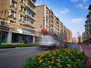 文旅经济发展丨成都市金牛区打造枣子巷中医药文化特色街区