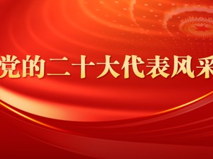 专题丨党的二十大代表风采