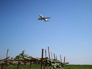 蒙古航空使用波音737 MAX 8型飞机执飞赴华航线引关注 业内人士怎么看？