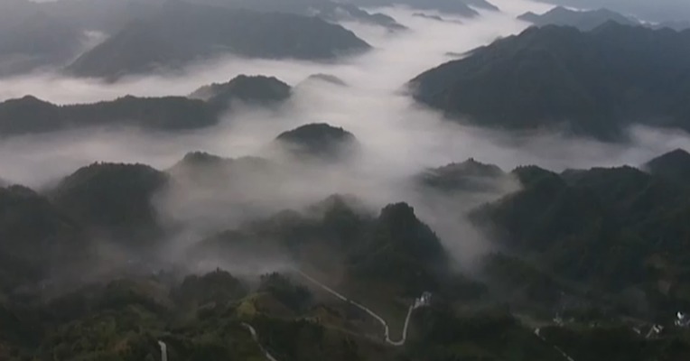走在巴山蜀水间①情之所系
