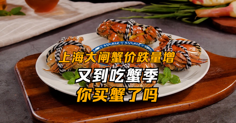 上海大闸蟹价跌量增 又到吃蟹季你买蟹了吗