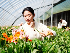 每经热评丨全面实现乡村振兴需稳步健全和发展企业家的农业