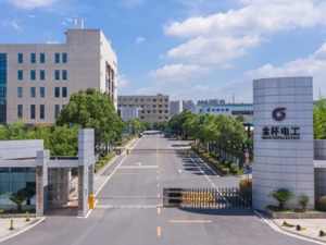 二十大时光•聆听报告 | 金杯电工董事长吴学愚：进一步深耕线缆行业，助力“智造强国”建设