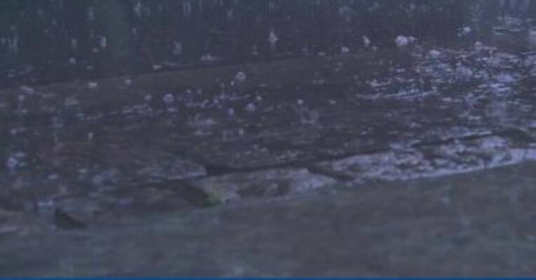 主产区降雨多 棕榈油价格恐继续上涨