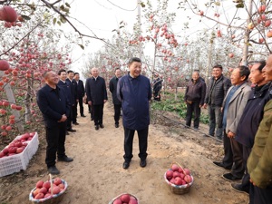 读懂习近平总书记二十大后首次出京活动的深意