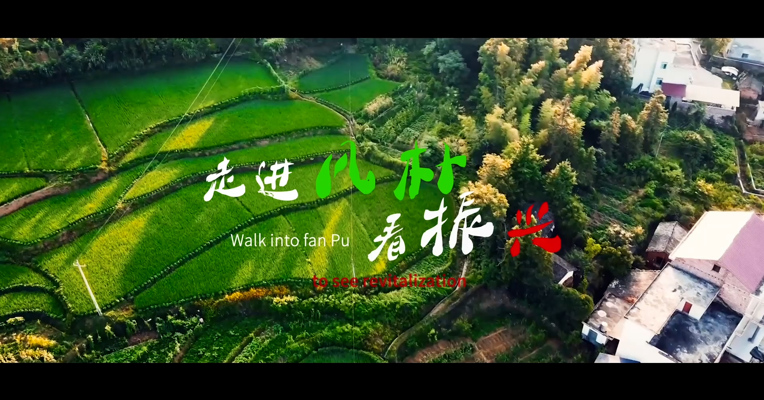 《走进凡朴看振兴》