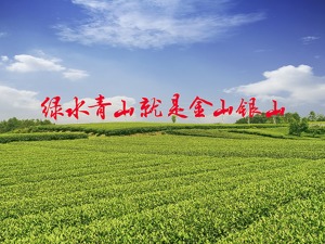成都蒲江面向全国征集创意 20万现金大奖助你梦想照进现实