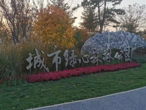 在老工业遗址上打造的森林景观 城市绿心森林公园筑起人与自然和谐共处的绿色空间   