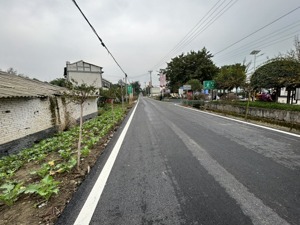 “路灯全覆盖”背后：一个深度老龄化乡村的治理升级之路