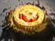 15856307.thumb_hs