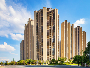 楼市“双11”观察·华南 |  “让利特惠”仍是房企主打牌，有楼盘选择双11当天开盘