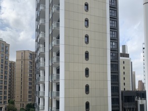 地块溢价率109%、准现房、价格倒挂，全球最贵公寓的设计师作品在上海被冷落了……