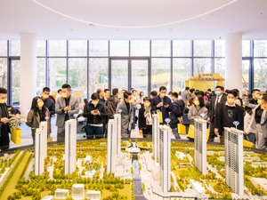 各购房平台提前备战“双11” 有平台报名人数达数百万
