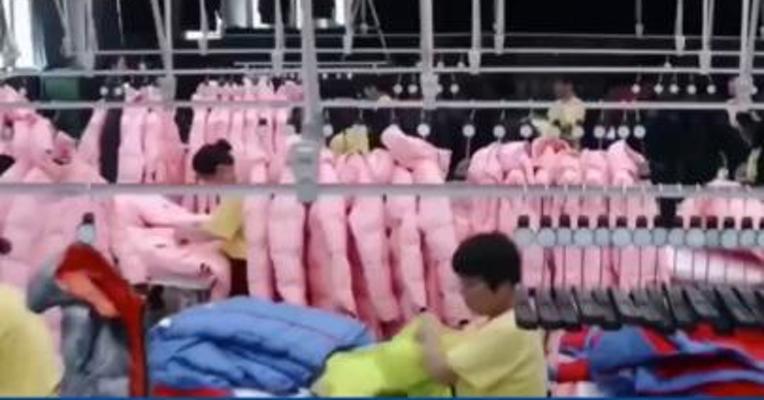 官方通报“波司登羽绒服价格双十一先涨后降”：未发现欺骗消费者行为