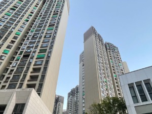 区域楼盘观察 | 深圳东部楼盘年底“抢收”：有的“地板价”吸客，有的卖出区域最高价“求少赔”